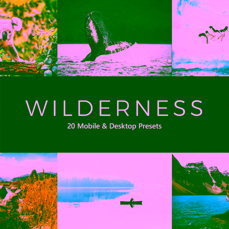 20 Wilderness Lightroom Presets and LUTs