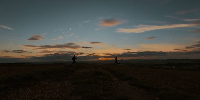 iPhone Cinematic LUTs