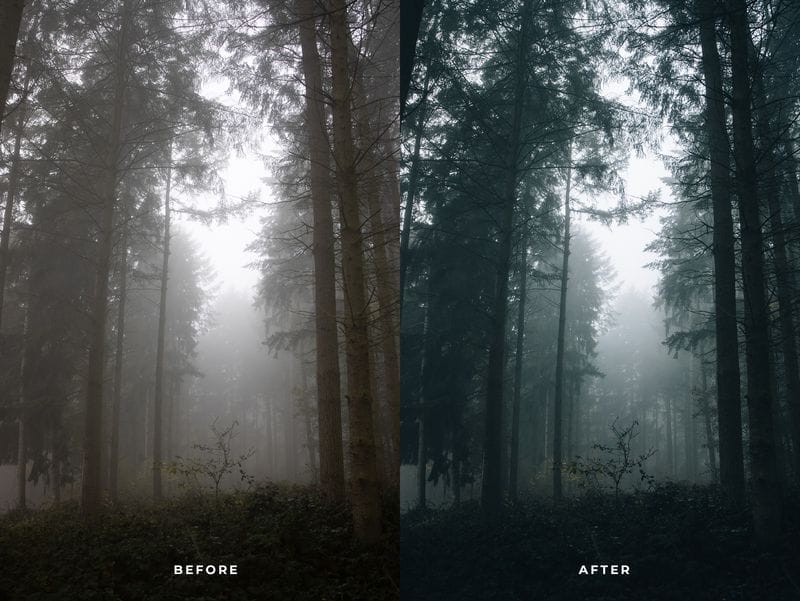 MOOD 10 Lightroom Presets