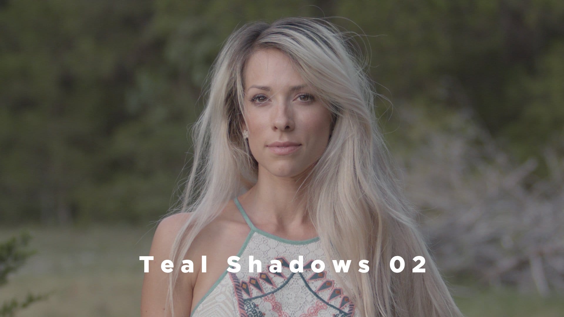 Theo Miesner Swiss Video LUTs