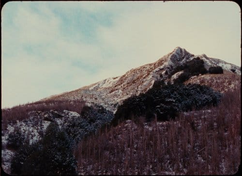 16MM FILM LUTS